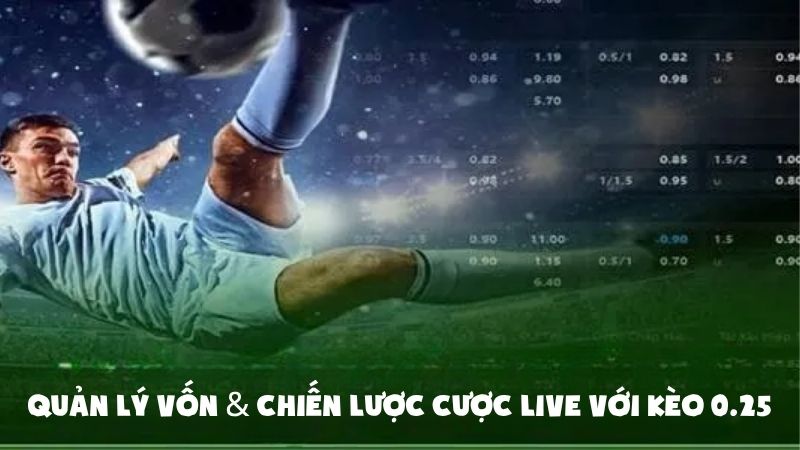 Mẹo Bắt Kèo Chấp 0.25 Cá Độ Bóng Đá Cùng Jinko Solar Việt Nam