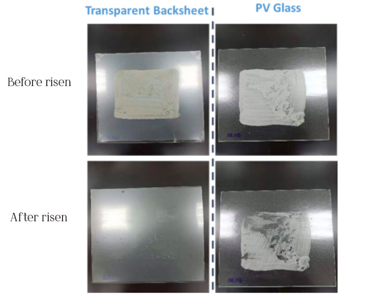Tấm pin 2 mặt JinkoSolar Bifacial Transparent backsheet vs Dual glass 13
